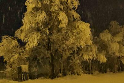 Adilcevaz’da kar yağışı beraberinde güzel görüntüler getirdi