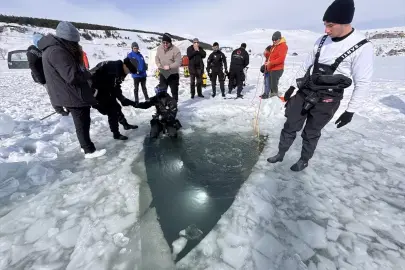 Akademisyen ve öğrenciler dondurucu soğukta buzla kaplı Çıldır Gölü'ne daldı