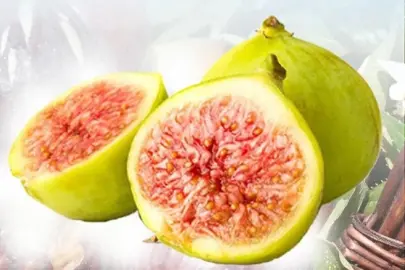 Balıkesir Büyükşehir'den incir fidanı desteği