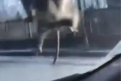 Başakşehir'de Sürücü Üst Geçitte Fareyle Karşılaştı