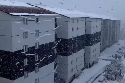 Bitlis'te kardan kapanan 125 köy ve mezra yolu ulaşıma açıldı