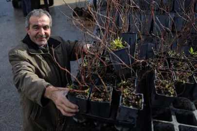 Bursa Büyükşehir'den kırsala fide ve fidan desteği sürüyor
