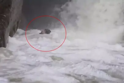 Dağcılar, yağışlar sonrası su seviyesi yükselen dereden geçerken zor anlar yaşadı