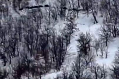 Elazığ’da domuz sürüsünü ’ordu geliyor’ diye kayda aldı