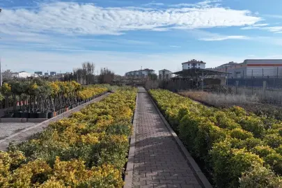 En büyük lojistik üssü fidanlığı Kayseri Kocasinan'da