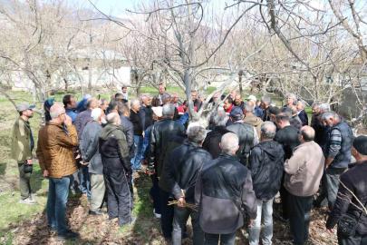 Erzincan’da meyve ağaçlarında budama eğitimi düzenlenecek