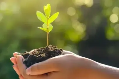 Erzurum'da uzlaştırma dosyaları üzerinden fidan bağışlarıyla orman oluşturulacak