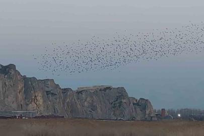 Gökyüzünde dans: Van Kalesi’nde sığırcık şöleni