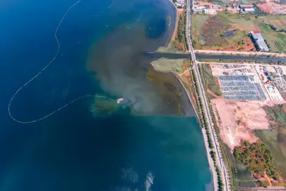 İzmit Körfezi'nde deniz temizleniyor, ekosistem güçleniyor