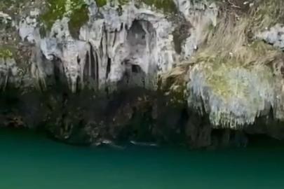 Karakoçan’da su samurları görüntülendi