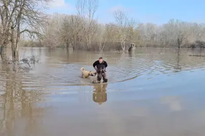 Meriç Nehri'nde su seviyesi arttı; DSİ 'turuncu alarm' uyarısında bulundu