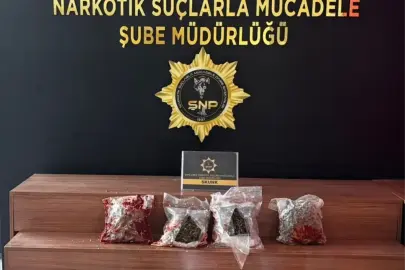 Şanlıurfa'da peynir ve salça bidonlarına gizlenmiş uyuşturucu ele geçirildi