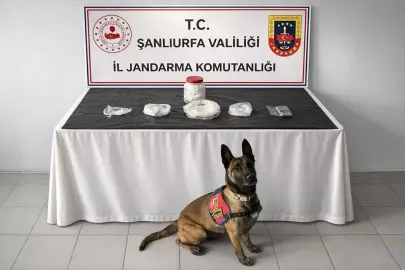 Şanlıurfa'da uyuşturucu operasyonunda 1 şüpheli yakalandı