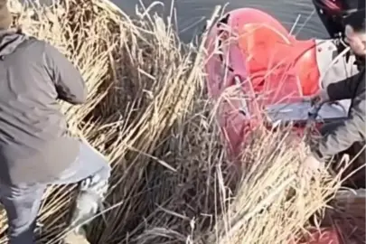 Sinop'ta yasa dışı avcılık operasyonu; 5 güme imha edildi