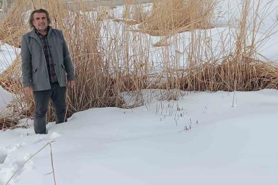 Sulak alanlar için hayati çağrı