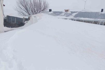 Taşlıçay’da kar yığınları evlerin boyuna ulaştı