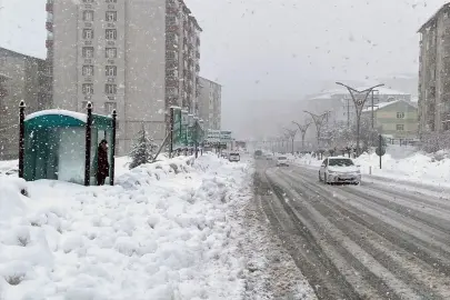 Van, Hakkari, Bitlis ve Muş'ta 453 yerleşim yerine ulaşım sağlanamıyor