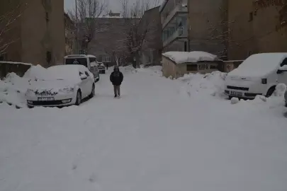 Van ve Muş'ta 68 yerleşim yerine ulaşım sağlanamıyor