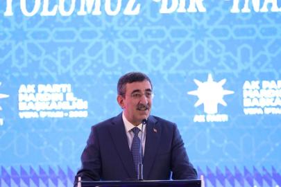 Cumhurbaşkanı Yardımcısı Yılmaz: Ülkemiz adeta bir istikrar adası konumunda