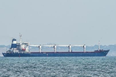 AB: Ukrayna'dan çalınan tahıl nedeniyle üçüncü ülkelere yaptırım uygulayabiliriz