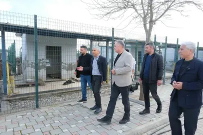 Adanalı veterinerlerden hayvan bakımevine inceleme