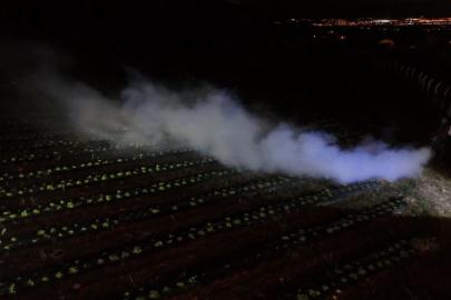 Erzincan’da 1450 rakımda don nöbeti: Üreticiler ürünlerini dumanla korudu