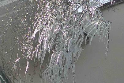 Hava sıcaklığı eksi 10’a düştü, ağaç dalları dondu