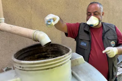 İstanbul Maltepe’de sivrisinek mücadelesi erken başladı