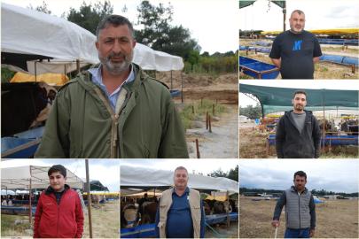 İzmir'de kurban pazarı kuruldu: Besicilerden kurbanlık seçimiyle ilgili önemli uyarılar