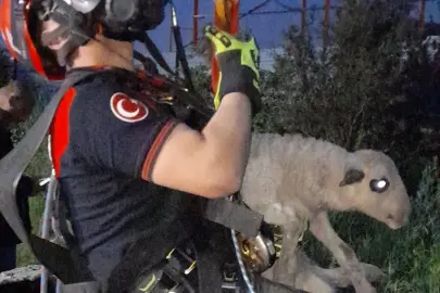 Kuyuya düşen kuzuya İzmir İtfaiyesi'nden nefes kesen kurtarma