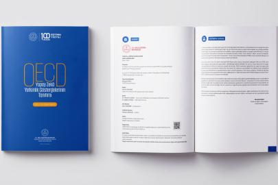 OECD’nin yapay zekâ raporu Türkçeye kazandırıldı