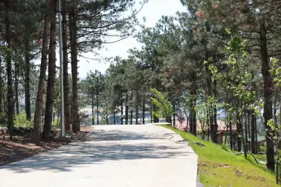 Pelitli Bayraktepe Mesire Alanı’nda çalışmalar tam gaz