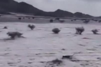 Suudi Arabistanda çöller dolu yağışıyla beyaza büründü