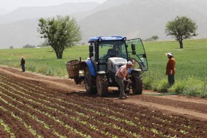 Tarımsal destek ödemeleri bugün yapılacak