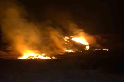 Van’da sazlık alanda yangın çıktı