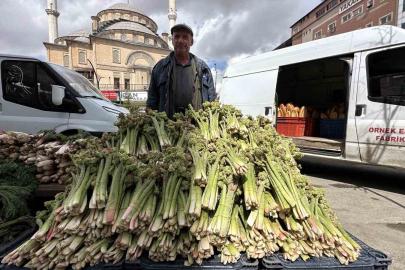 Yüksekova’da ‘yayla muzu’ mesaisi başladı