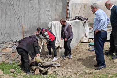 3 metrelik yılan mahalleyi korkuttu: Belediye ekipleri müdahale etti