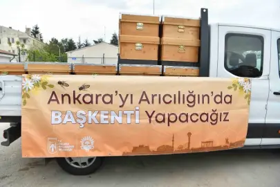 Ankara Büyükşehir'den arıcılara kovan desteği