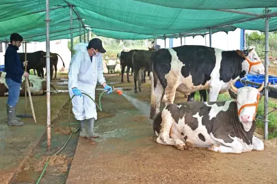 Antalya Büyükşehir’den  kurban satış alanlarında ilaçlama