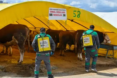 Başkent'te kurban alanlarına sıkı denetim
