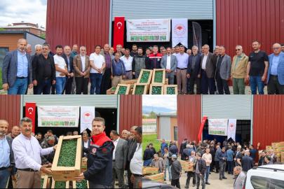 Bingöl’de 570 çiftçiye 330 bin adet sebze fidesi dağıtıldı