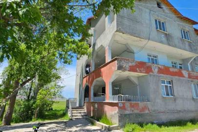 Hasköy’de yılanlar bir evi sardı: Aile geceleri uyuyamıyor