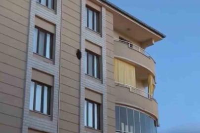 Iğdır’da kargaların saldırısına uğrayan saz delicesi kameraya yansıdı
