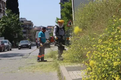 İstanbul Maltepe’de çevre düzenleme çalışmaları sürüyor