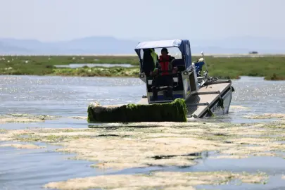 İzmir Büyükşehir’den Körfez’de deniz maralu temizliği