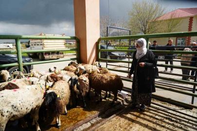 Kadın üreticilere 3 bin küçükbaş hayvan desteği