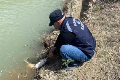 Karasu Nehri’nde kaçak avcılığa karşı denetim yapıldı