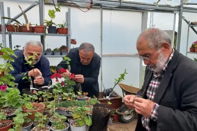 Ordu’da aşı ordusu büyüyor