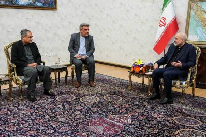 Pakistan İçişleri Bakanı Naqvi Tahran'da temaslarda bulundu