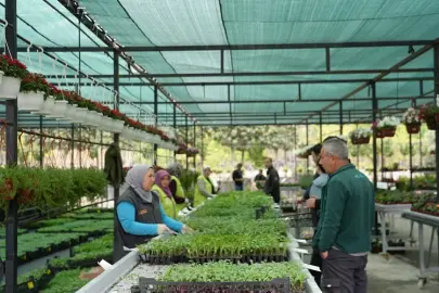 Sebze fideleriyle bereket bahçeden sofralara uzanıyor